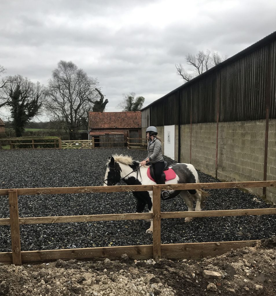 Facilities Hall Farm Livery